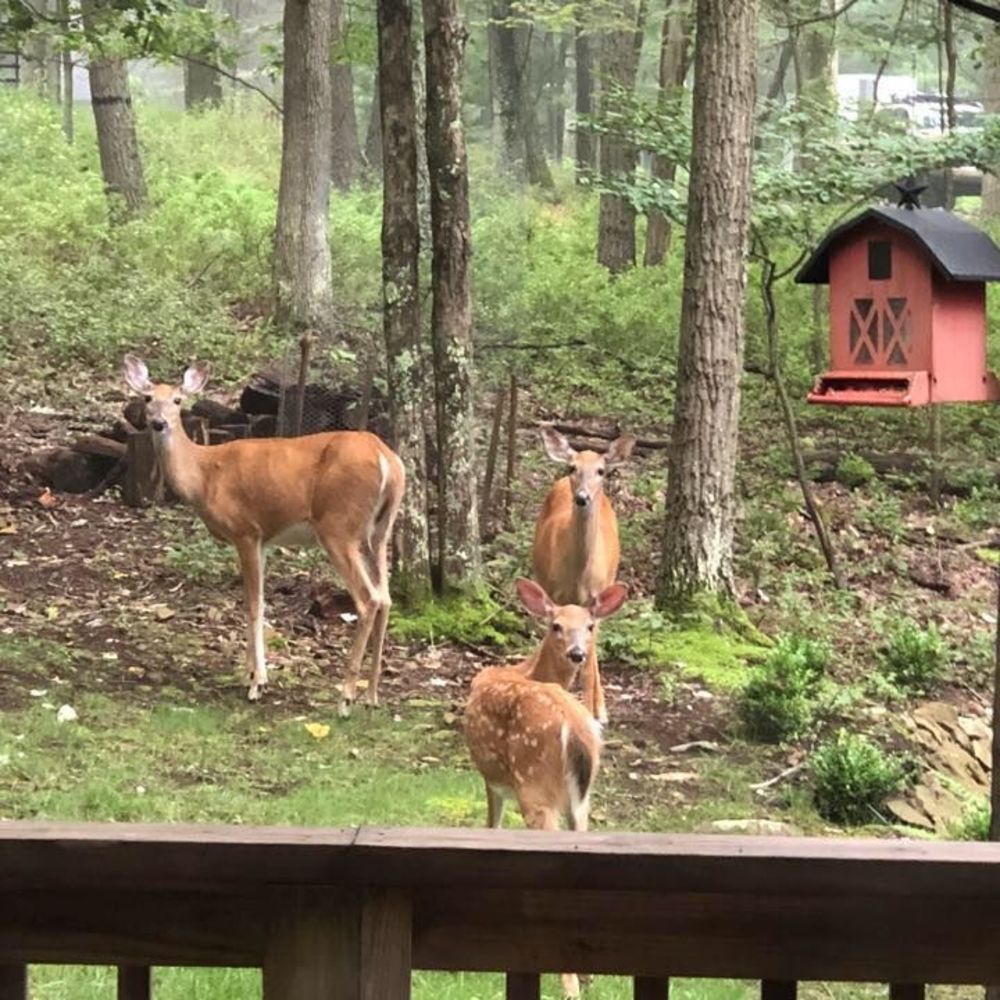 Meet your Posher, Tammy